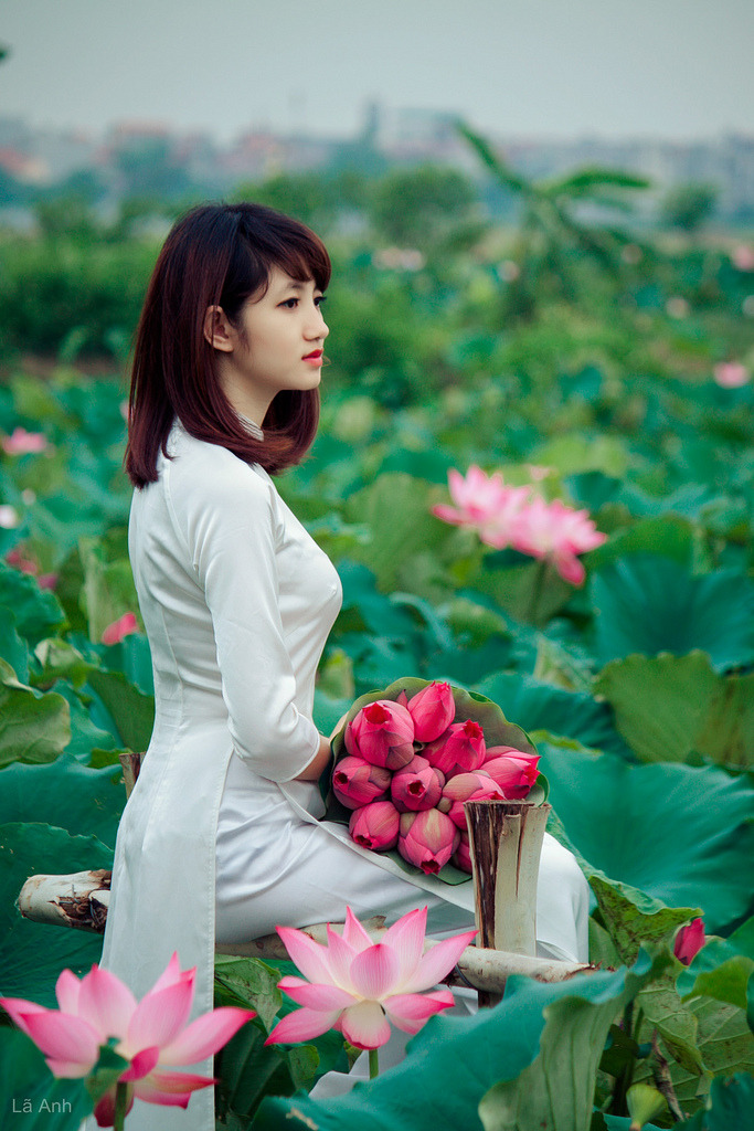 《妻子6》在線觀看免費版
