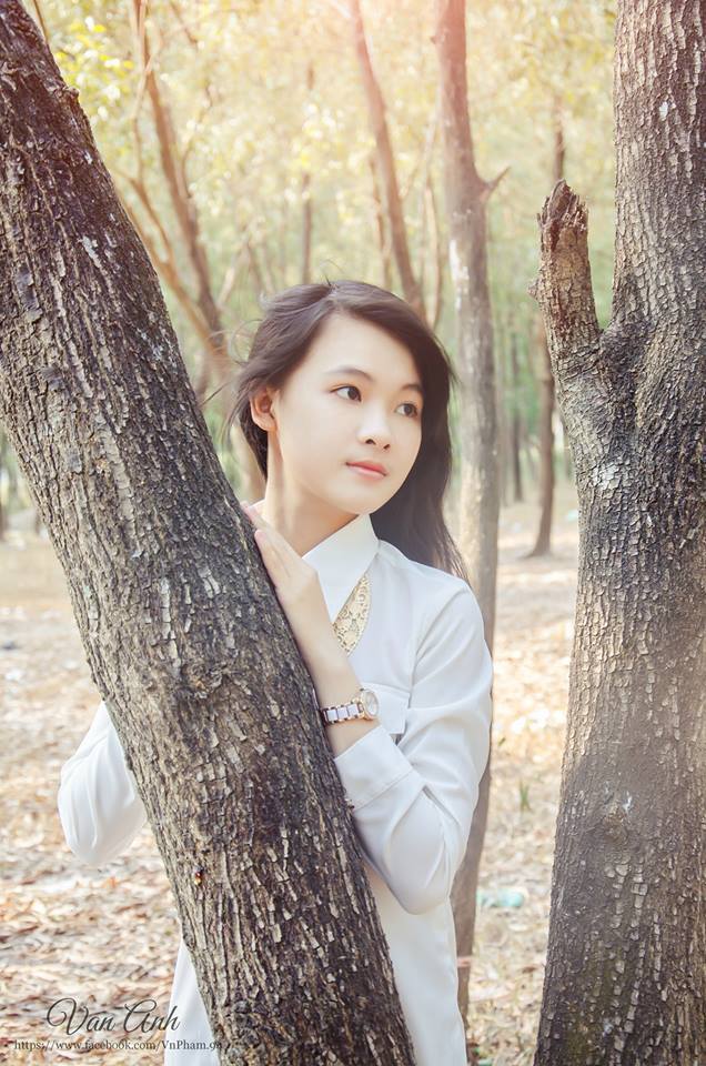 春潮燦爛