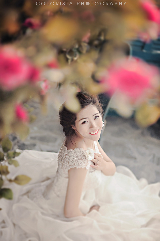 帶淚梨花之美麗重生2013鄭清文