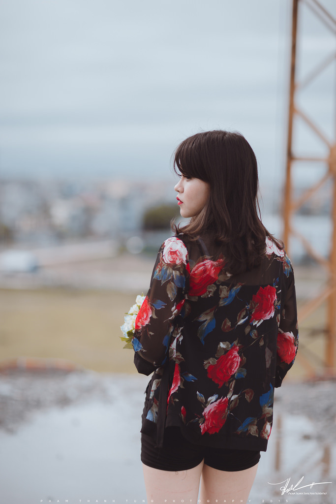 夫人2015