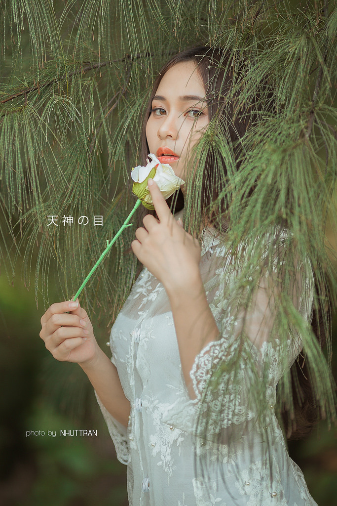 二哥影視