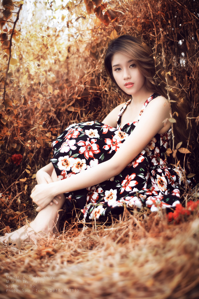 女人與狗毛片