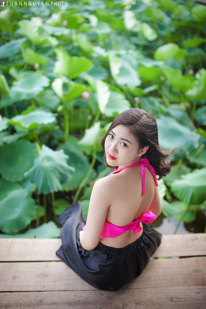 滄元圖第二季免費觀看